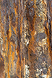 Patina 8